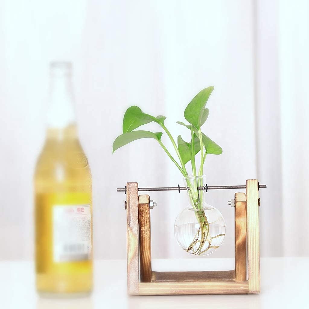 Wooden Bulb Vase Collection