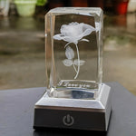 3D Crystal Light Sculpture
