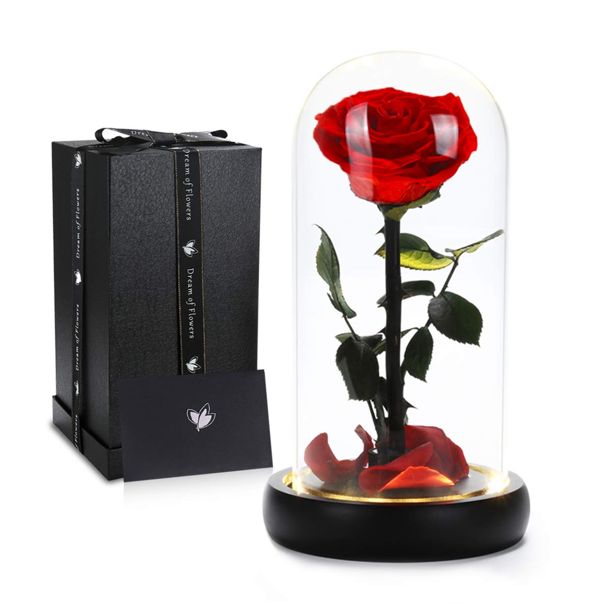 Christmas Flower Gifts for Women,Beauty and The Beast Rose in Glass Dome with 2 Light Modes,Eternal Rose Romantic Xmas Gift for Her,Xmas Birthday Gifts for Women Mom Wife Girlfriend,Silk Red Rose
