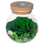 Preserved Real Roses with Colorful Mood Light Wishing Bottle,Eternal Rose，Never Withered Flowers,for Bedroom Party Table Decor, Christmas Anniversary,Valentine's,Mother's Day, (Multi)