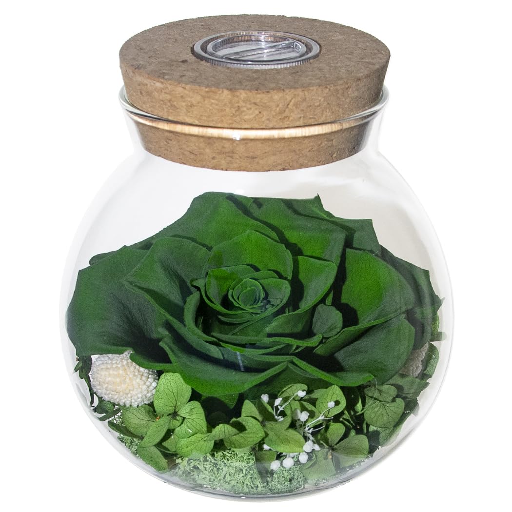 Preserved Real Roses with Colorful Mood Light Wishing Bottle,Eternal Rose，Never Withered Flowers,for Bedroom Party Table Decor, Christmas Anniversary,Valentine's,Mother's Day, (Multi)