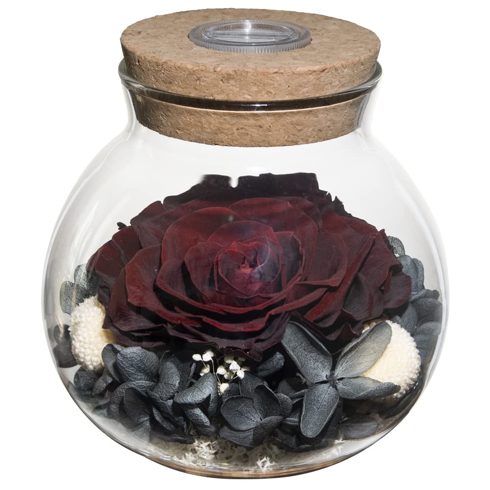 Preserved Real Roses with Colorful Mood Light Wishing Bottle,Eternal Rose，Never Withered Flowers,for Bedroom Party Table Decor, Christmas Anniversary,Valentine's,Mother's Day, (Multi)