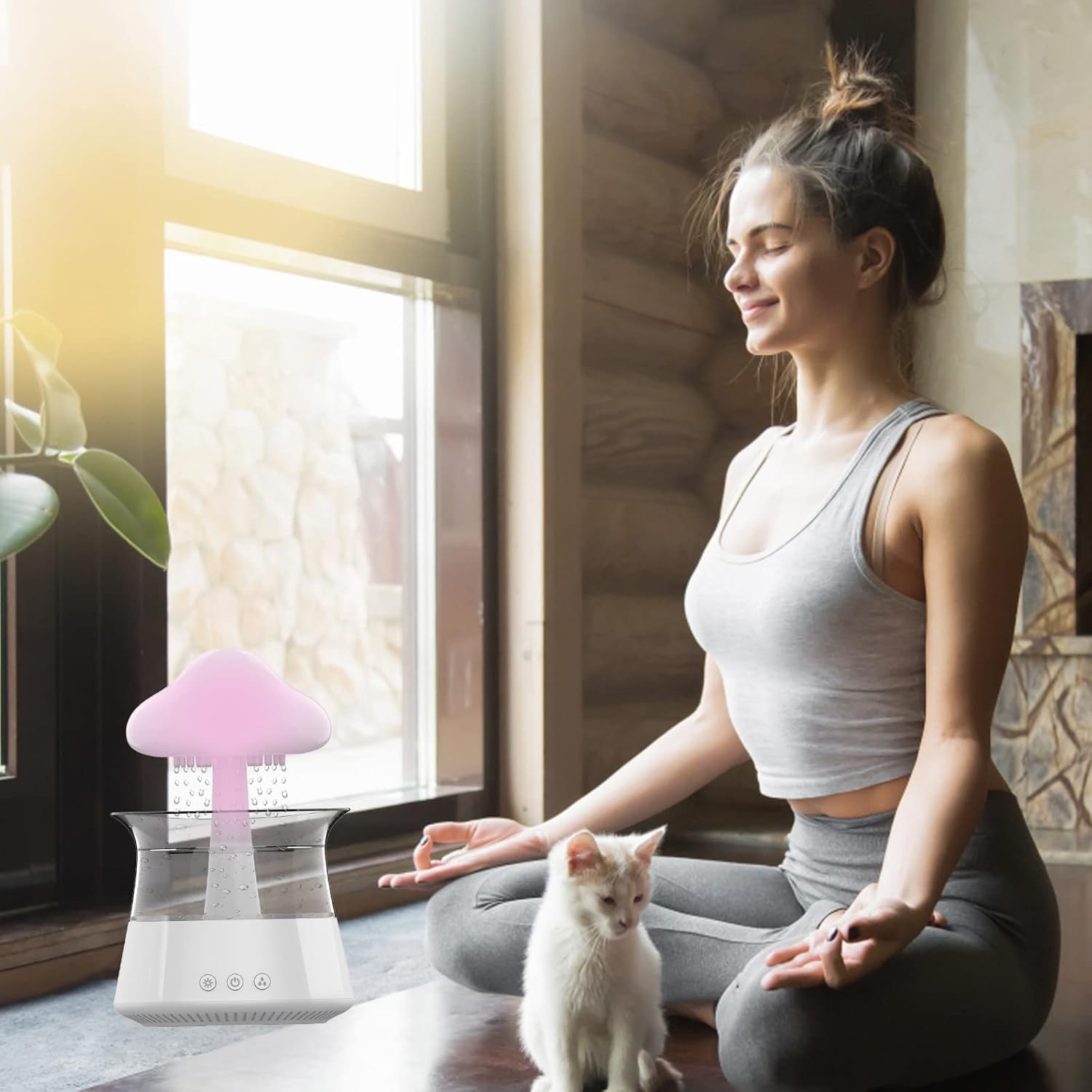 RainCloud Ultrasonic Humidifier
