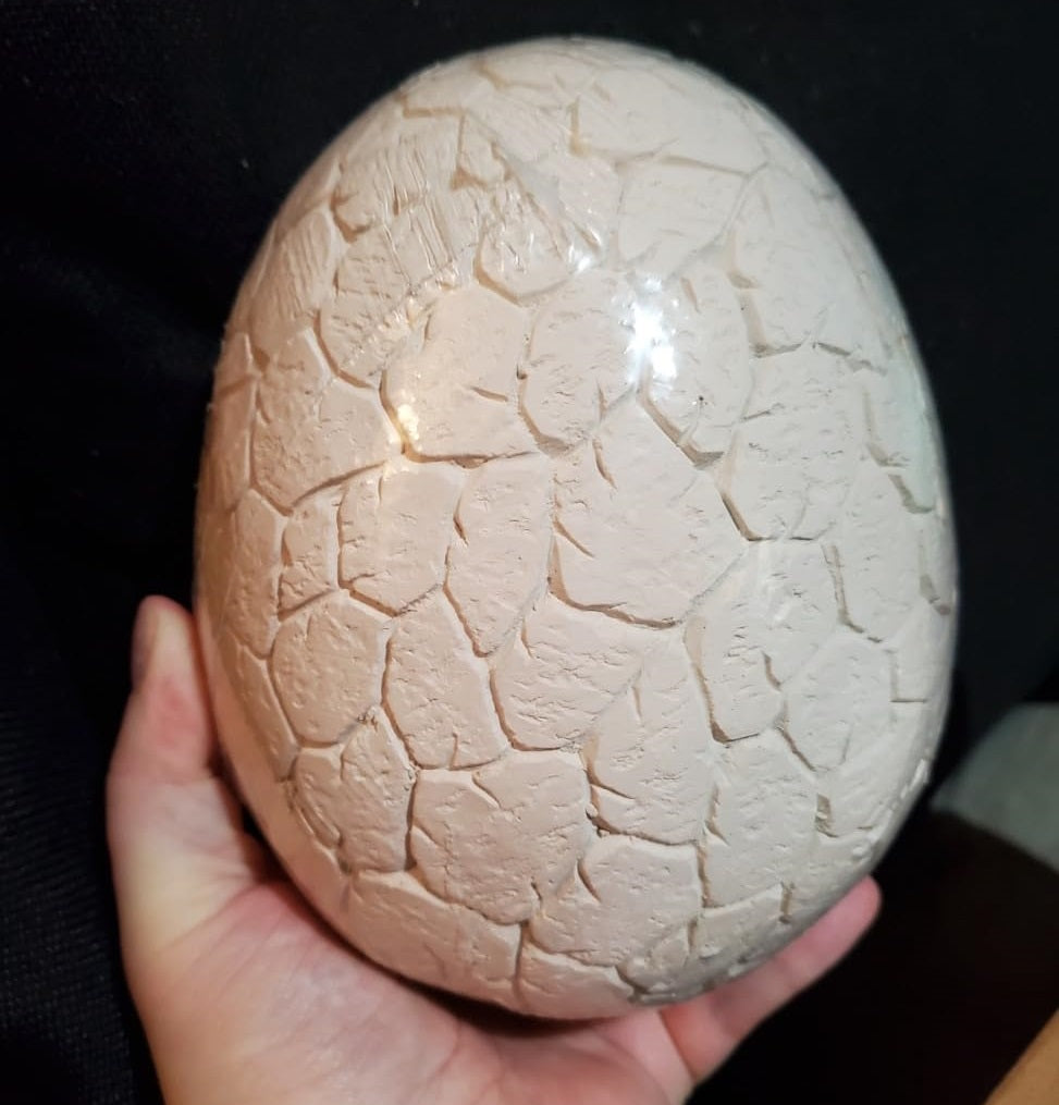 Jumbo Dinosaur Dig Kit