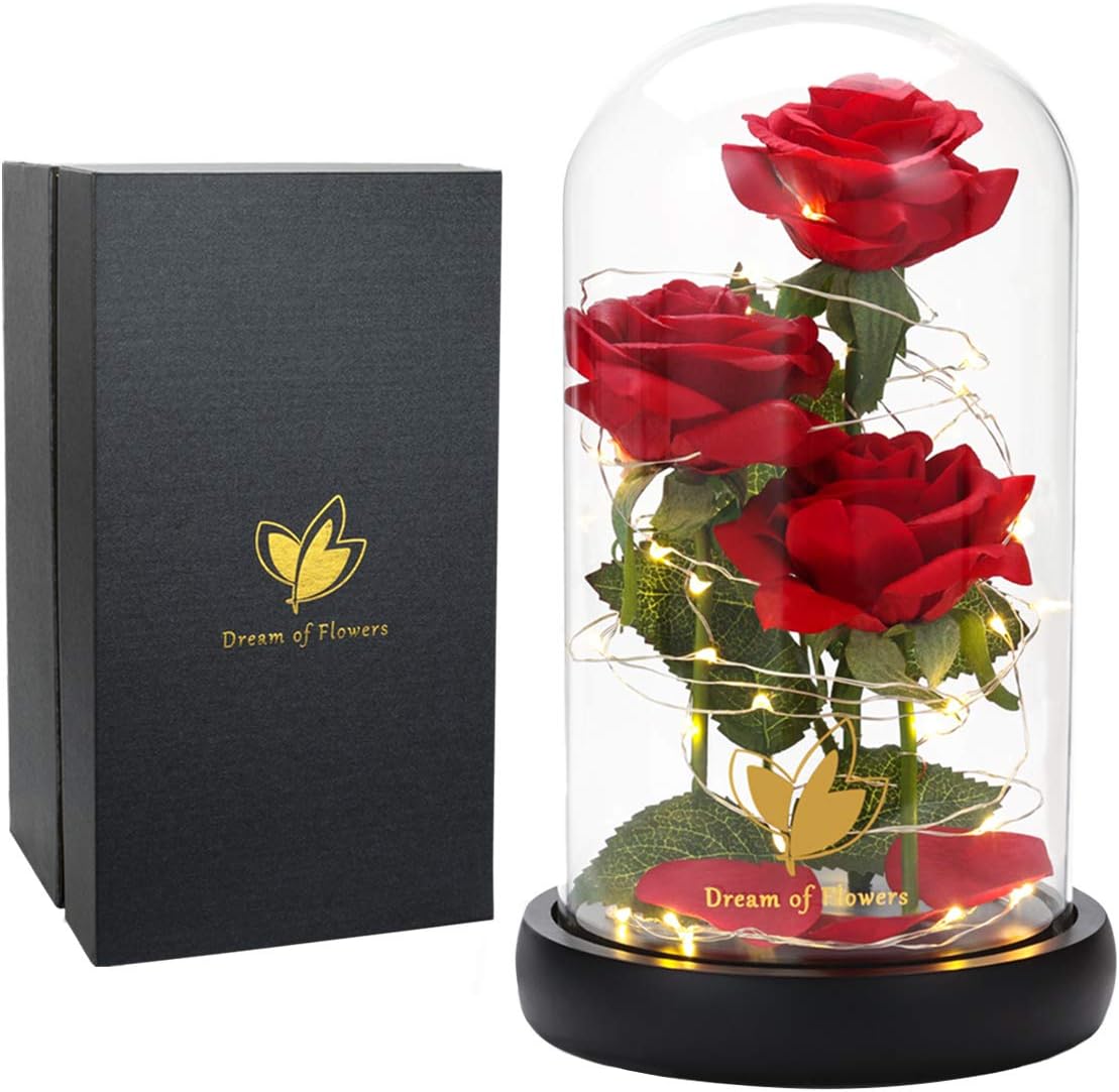 Christmas Flower Gifts for Women,Beauty and The Beast Rose in Glass Dome with 2 Light Modes,Eternal Rose Romantic Xmas Gift for Her,Xmas Birthday Gifts for Women Mom Wife Girlfriend,Silk Red Rose