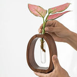 Wooden Frame Glass Vase Collection