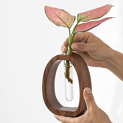 Wooden Frame Glass Vase Collection