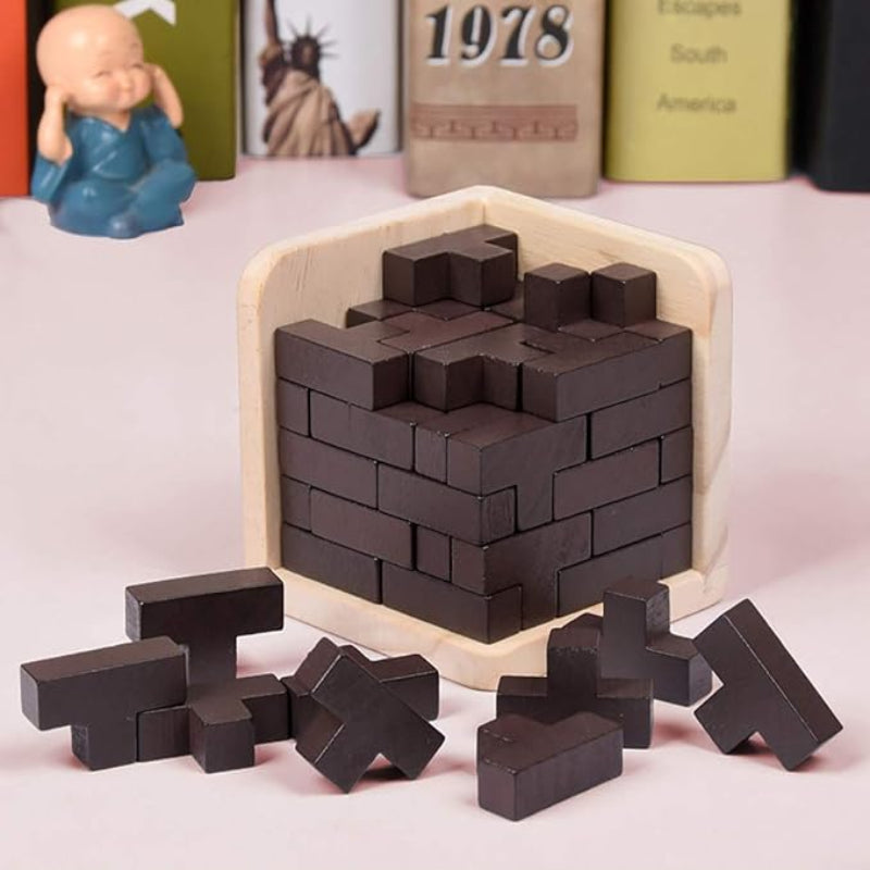 Wooden Brain Teaser Puzzle