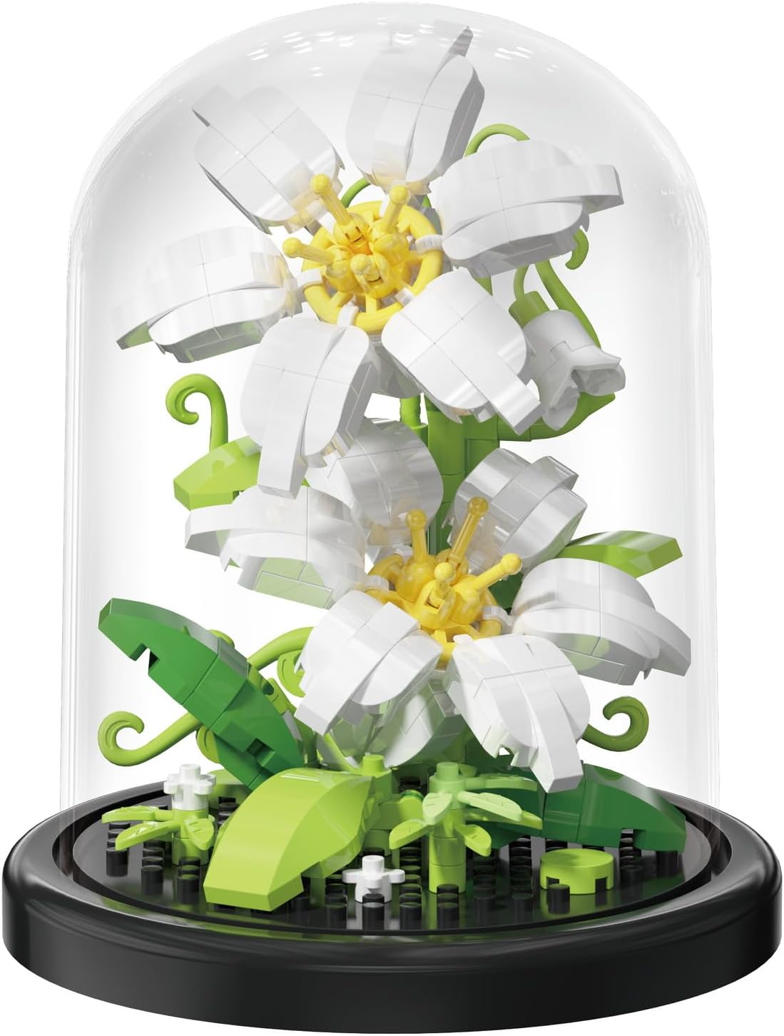 BlossomGlow Botanical Collection