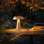 Metal Touch Desk Lamp