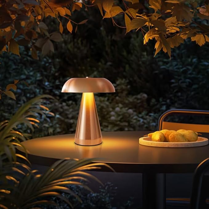 Metal Touch Desk Lamp