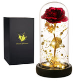 Christmas Flower Gifts for Women,Beauty and The Beast Rose in Glass Dome with 2 Light Modes,Eternal Rose Romantic Xmas Gift for Her,Xmas Birthday Gifts for Women Mom Wife Girlfriend,Silk Red Rose