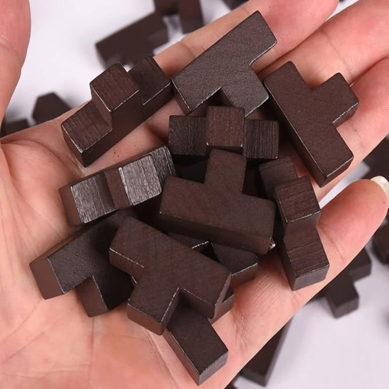 Wooden Brain Teaser Puzzle
