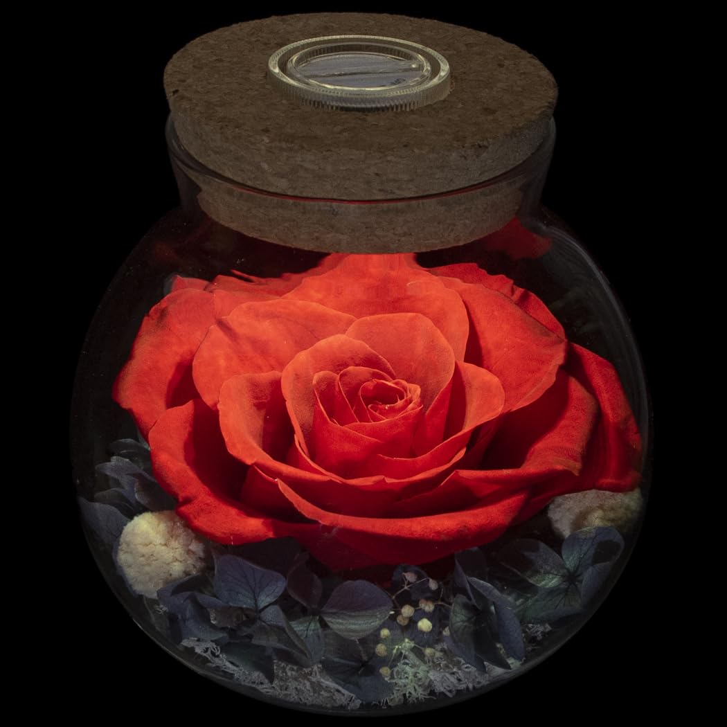 Preserved Real Roses with Colorful Mood Light Wishing Bottle,Eternal Rose，Never Withered Flowers,for Bedroom Party Table Decor, Christmas Anniversary,Valentine's,Mother's Day, (Multi)