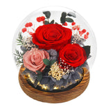 FIACO Gifts for Mom Women Birthday Preserved Flowers in Glass Dome Forever Fresh Flowers for Delivery Prime Long-Lasting Eternal Roses Gifts for Grandma Sister Daughter Wife Her Girlfriend Purple