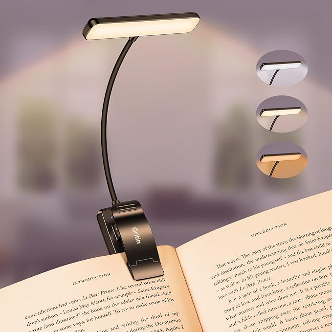 Mini LED Lamp | BookLite Clip-On Light with Adjustable Brightness ...