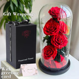 Flowers for Delivery - Forever Flowers Rose in Glass Dome with LED Lights, Large Size Preserved Roses Gifts for Women, Mom, Wife, Friend -Birthday, Anniversary, Valentine's Day Gift (Red Rose)