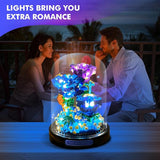 BlossomGlow Botanical Collection