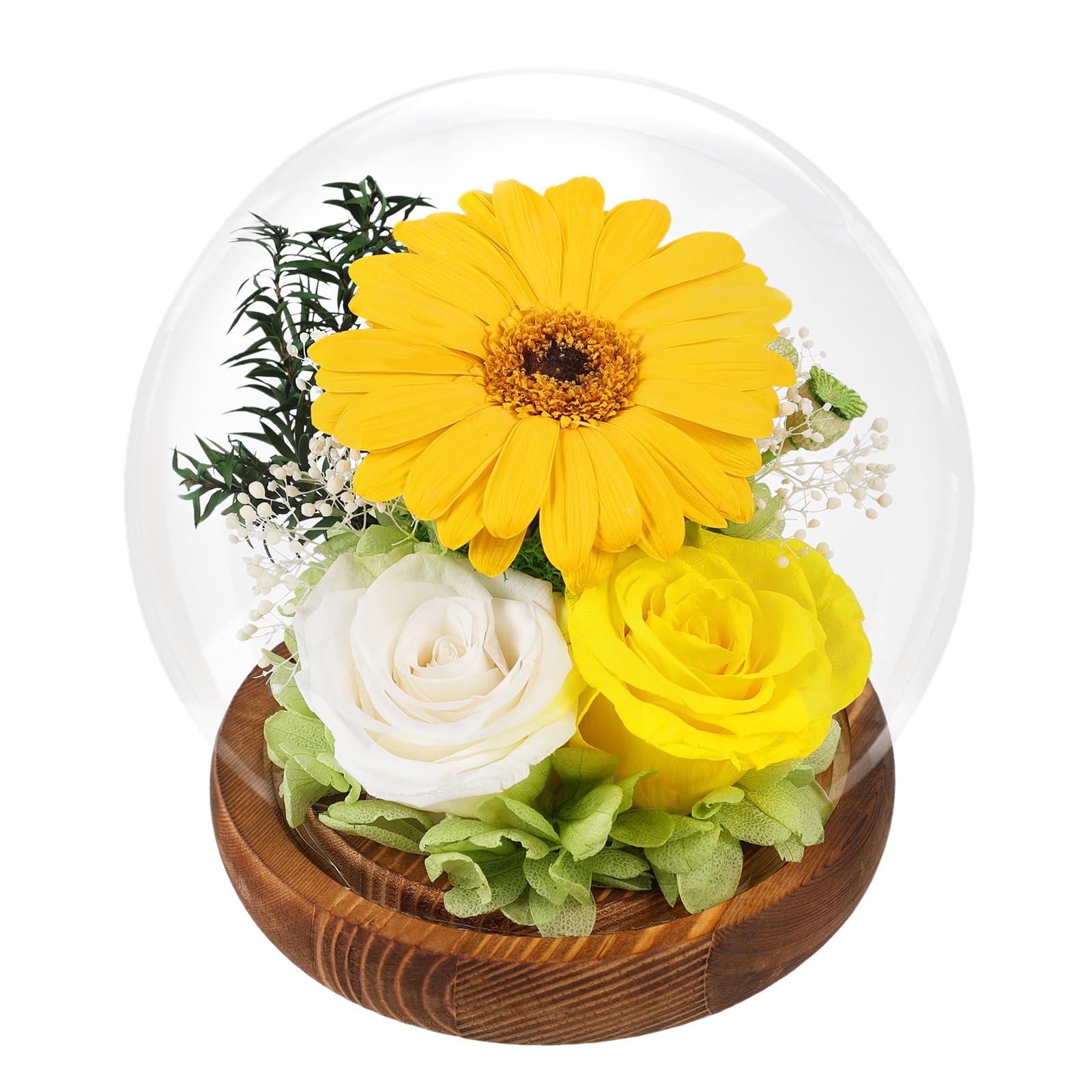FIACO Gifts for Mom Women Birthday Preserved Flowers in Glass Dome Forever Fresh Flowers for Delivery Prime Long-Lasting Eternal Roses Gifts for Grandma Sister Daughter Wife Her Girlfriend Purple