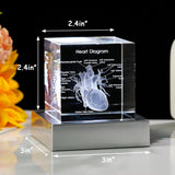 3D Crystal Human Heart Model