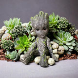 Groot Planter Collection