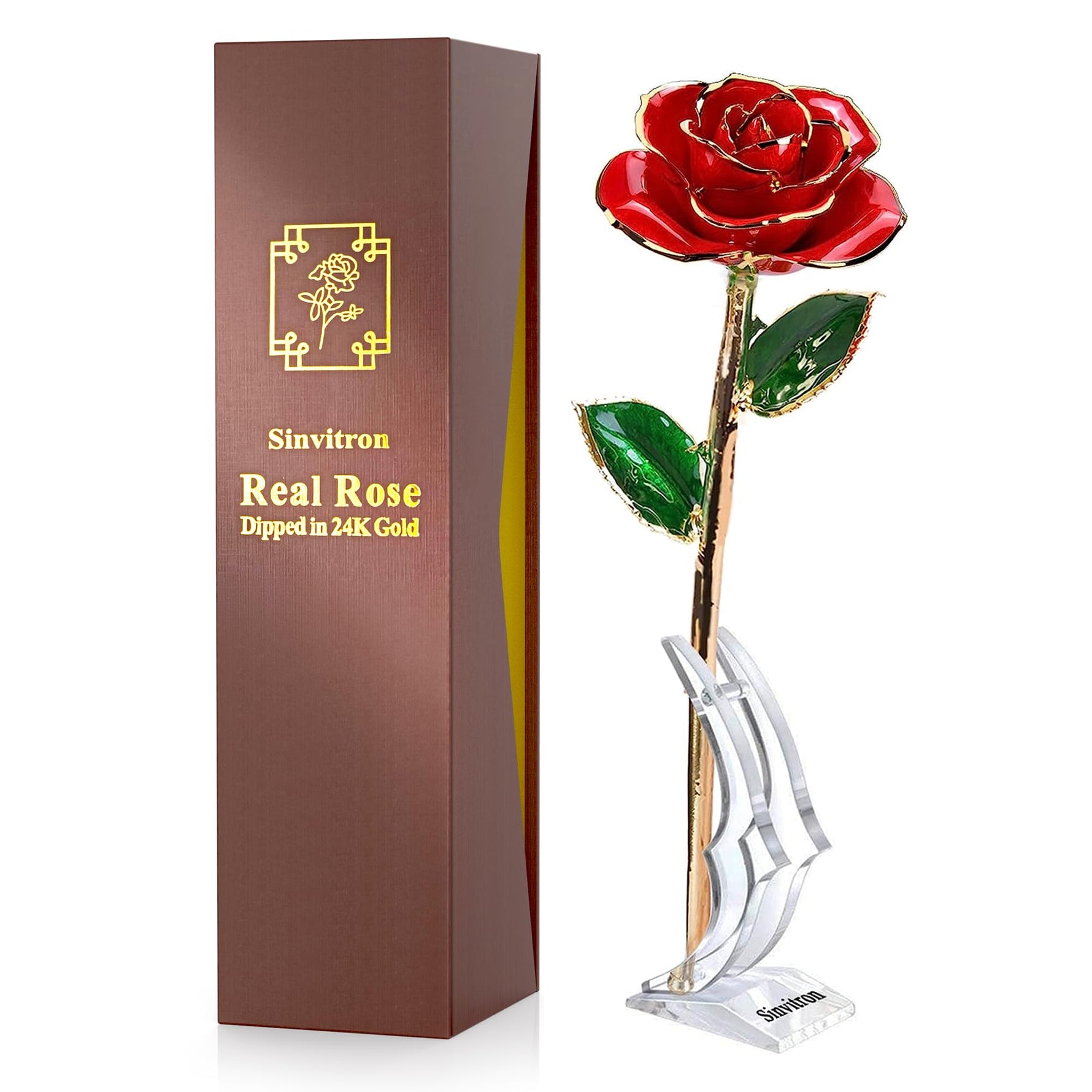 Sinvitron Gold Dipped Infinity Rose Forever Flower Decor, Resin Preserved Real Rose Birthday Gift for Women, Anniversary Present for Mom (Rose Red)