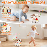 LUDILO Learning Toys for 1 Year Old Boy Girl Gifts: Pull Along Crawling Toy Musical Puppy 6 7 8 9 10 12 18 Month Old Baby Toy 1st Birthday Gifts for Boys Girls Toddler Infant Baby Toys 6-12-18 Months