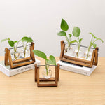 Wooden Bulb Vase Collection