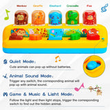 Interactive Pop up Animal Toys with Music & Light, Montessori Cause and Effect Toys for 1 Year Old Boy Girl Early Learning Musical Baby Toy 9-12-18 Months STEM Toddler Toy Age 1-2 Gift for Infant