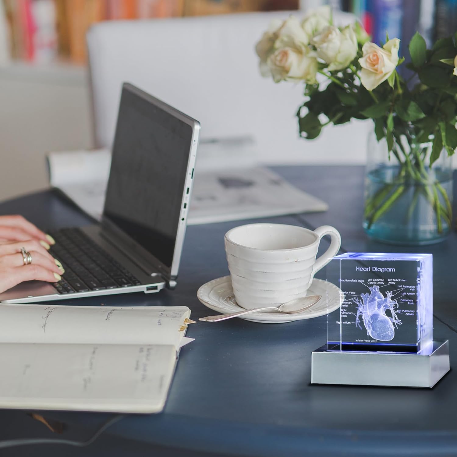 3D Crystal Human Heart Model