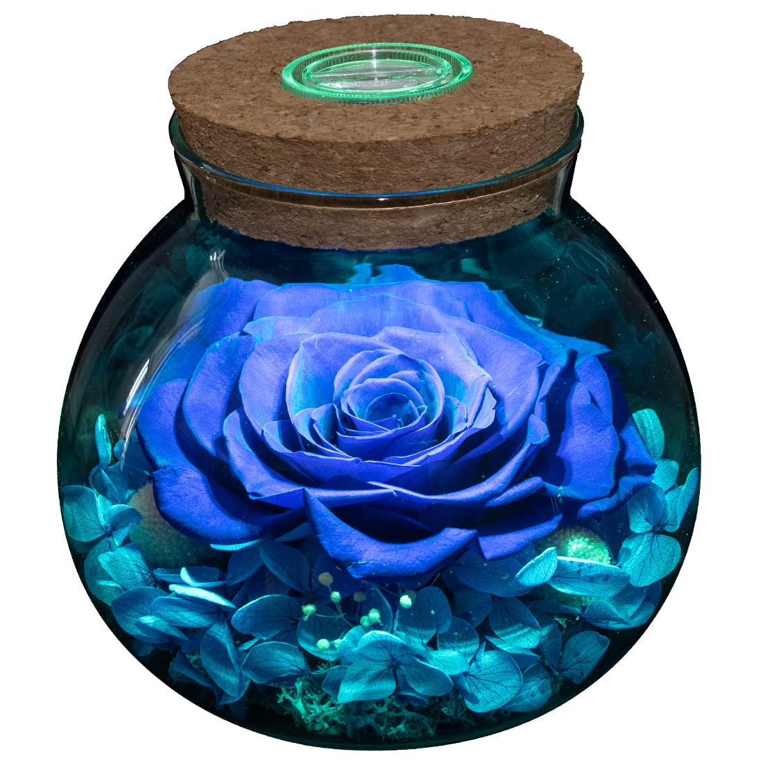 Preserved Real Roses with Colorful Mood Light Wishing Bottle,Eternal Rose，Never Withered Flowers,for Bedroom Party Table Decor, Christmas Anniversary,Valentine's,Mother's Day, (Multi)