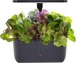 Indoor Hydroponic Garden
