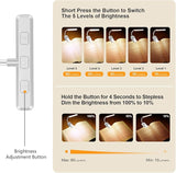 Bedside Reading Clip Light