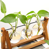 Wooden Bulb Vase Collection