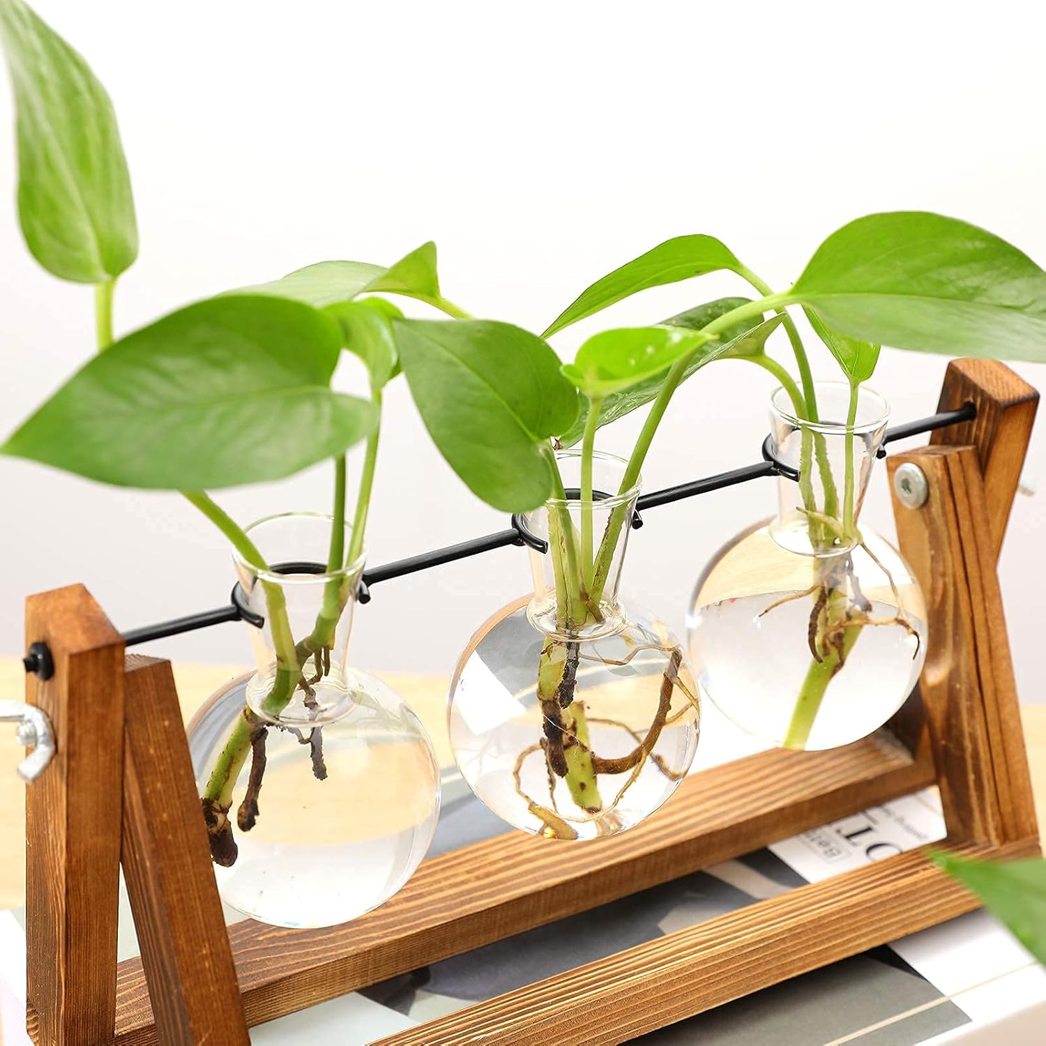 Wooden Bulb Vase Collection