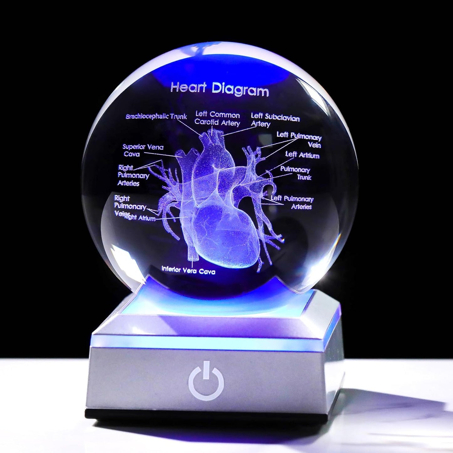 3D Crystal Human Heart Model