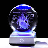 3D Crystal Human Heart Model