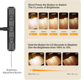 Bedside Reading Clip Light