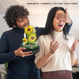 BlossomGlow Botanical Collection