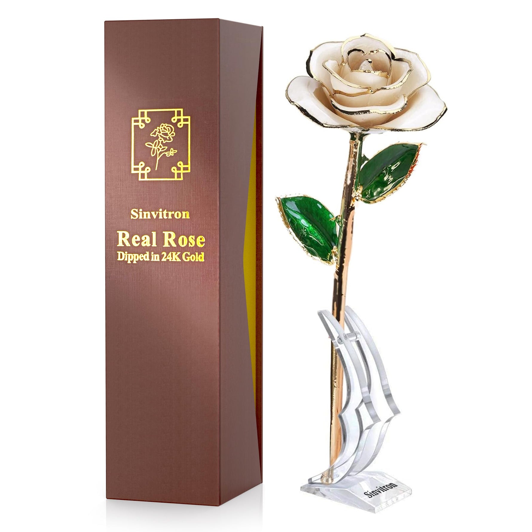 Sinvitron Gold Dipped Infinity Rose Forever Flower Decor, Resin Preserved Real Rose Birthday Gift for Women, Anniversary Present for Mom (Rose Red)