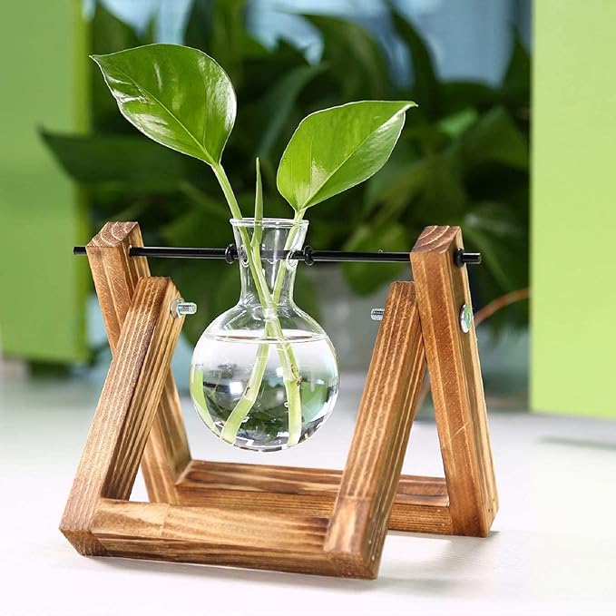 Wooden Bulb Vase Collection