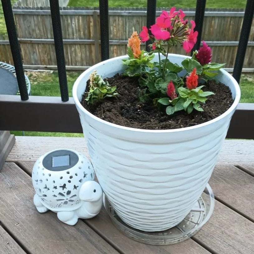 Solar Turtle Garden Lantern