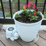 Solar Turtle Garden Lantern