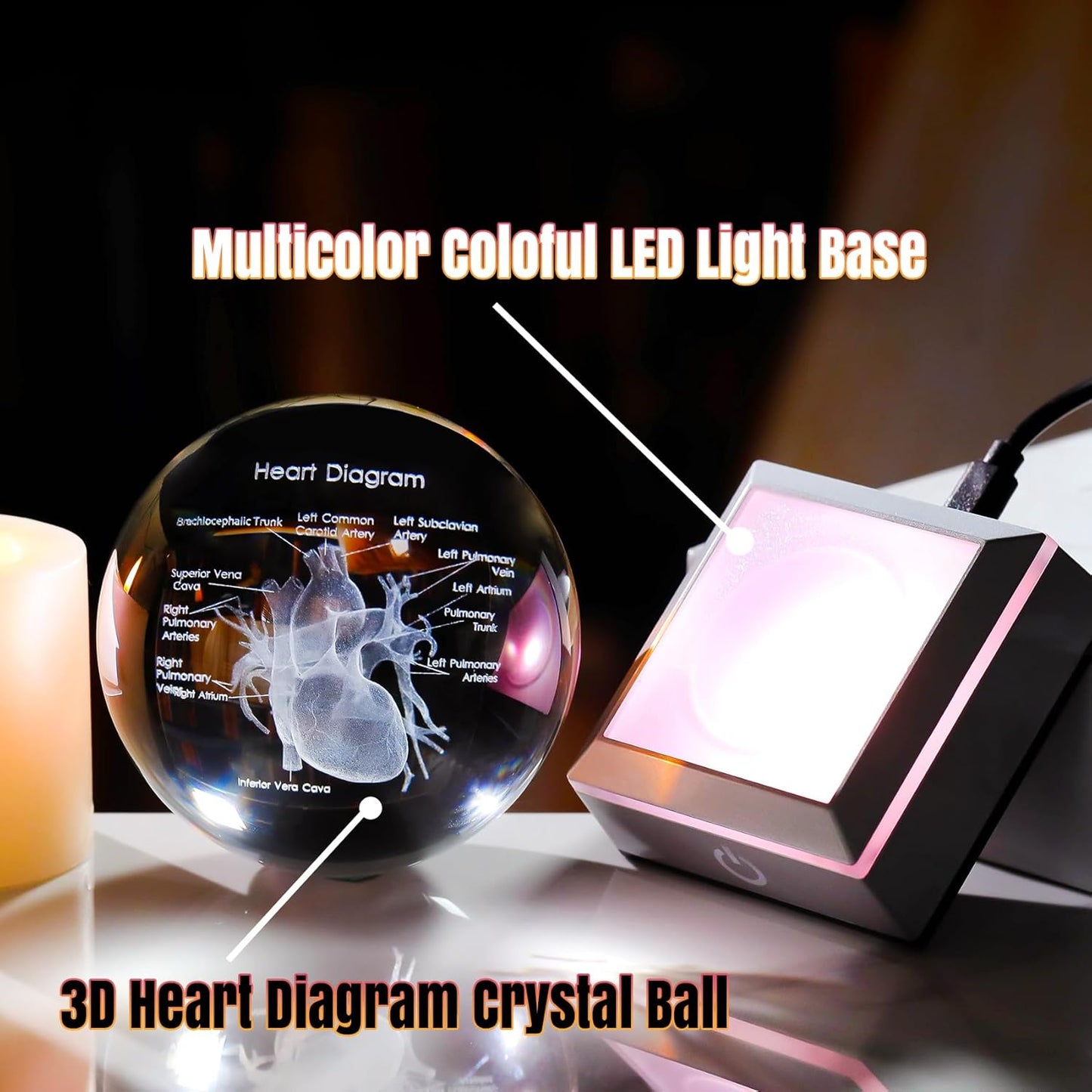 3D Crystal Human Heart Model