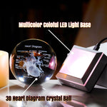3D Crystal Human Heart Model