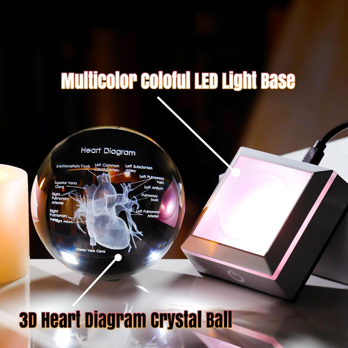 3D Crystal Human Heart Model