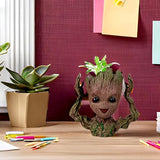 Groot Planter Collection