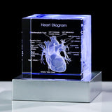 3D Crystal Human Heart Model