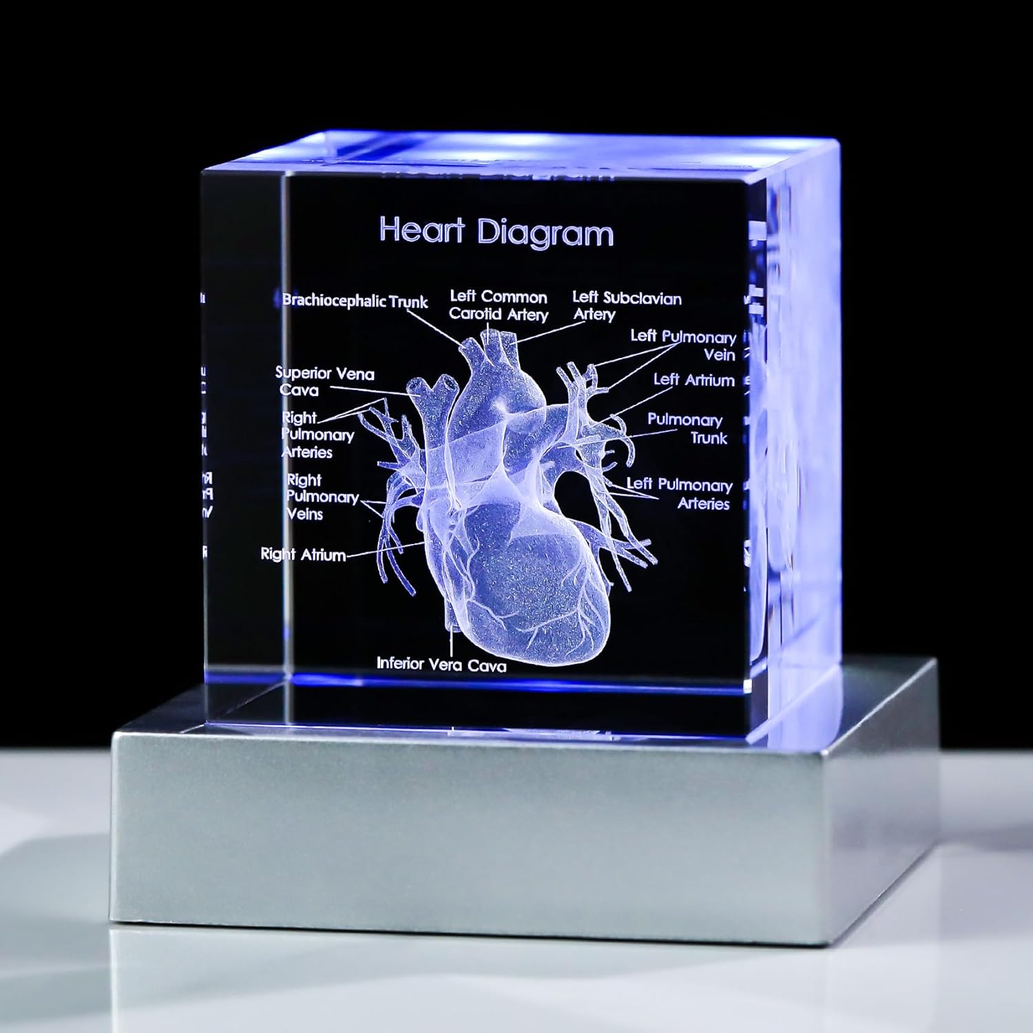 3D Crystal Human Heart Model
