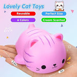 Cat Squishy Stress Set